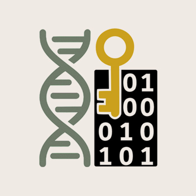 Information Theory logo